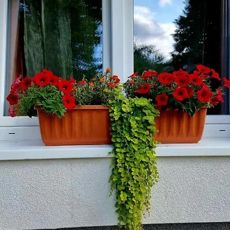 Haus Bierherr Apartament *