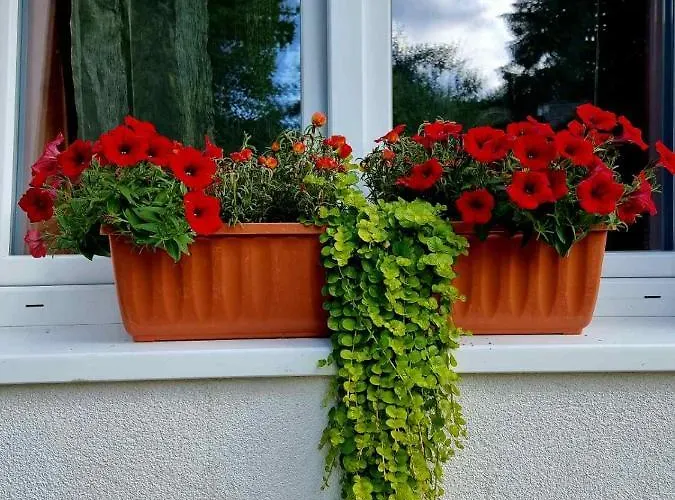 Haus Bierherr 公寓 *