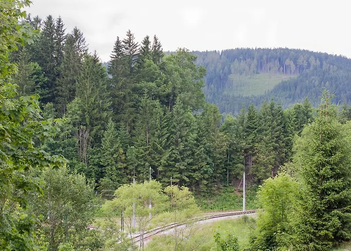 Apartment Haus Bierherr Mariazell