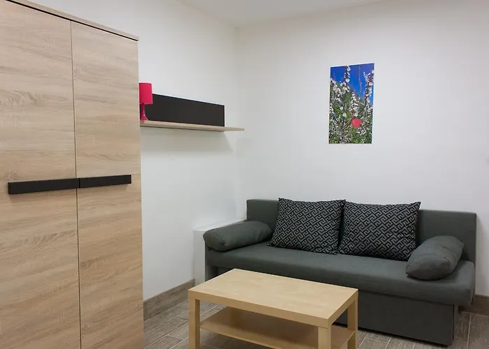 Haus Bierherr Apartment